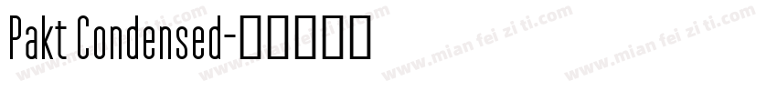 Pakt Condensed字体转换